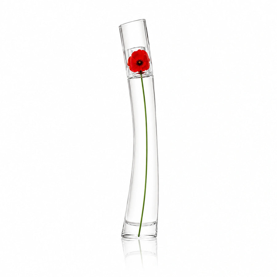 Damen 3er-Set — Verspielte Anmut